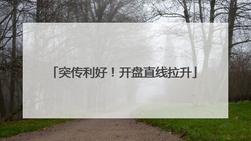 突传利好！开盘直线拉升