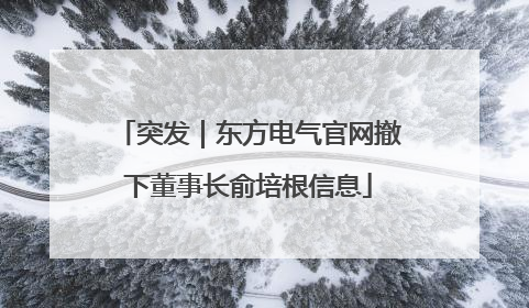 突发｜东方电气官网撤下董事长俞培根信息