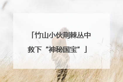 竹山小伙荆棘丛中救下“神秘国宝”