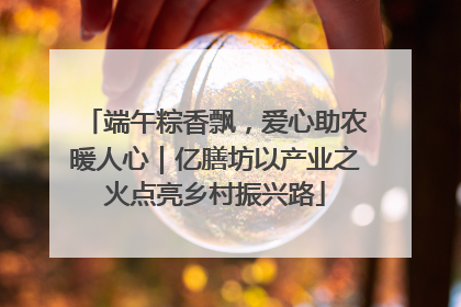 端午粽香飘，爱心助农暖人心｜亿膳坊以产业之火点亮乡村振兴路
