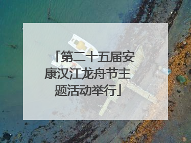 第二十五届安康汉江龙舟节主题活动举行