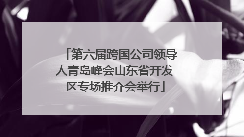 第六届跨国公司领导人青岛峰会山东省开发区专场推介会举行