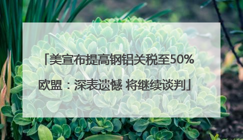 美宣布提高钢铝关税至50% 欧盟：深表遗憾 将继续谈判