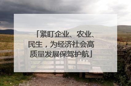 紧盯企业、农业、民生，为经济社会高质量发展保驾护航