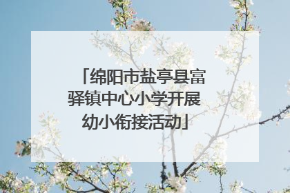 绵阳市盐亭县富驿镇中心小学开展幼小衔接活动