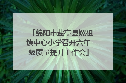 绵阳市盐亭县嫘祖镇中心小学召开六年级质量提升工作会