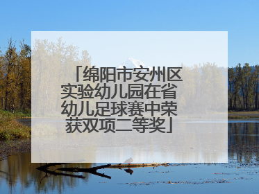 绵阳市安州区实验幼儿园在省幼儿足球赛中荣获双项二等奖