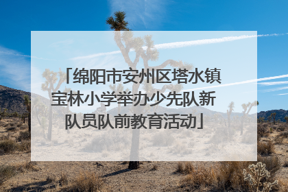 绵阳市安州区塔水镇宝林小学举办少先队新队员队前教育活动