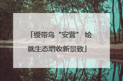 绶带鸟“安营” 绘就生态增收新景致