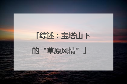 综述：宝塔山下的“草原风情”