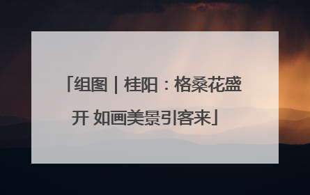 组图｜桂阳：格桑花盛开 如画美景引客来