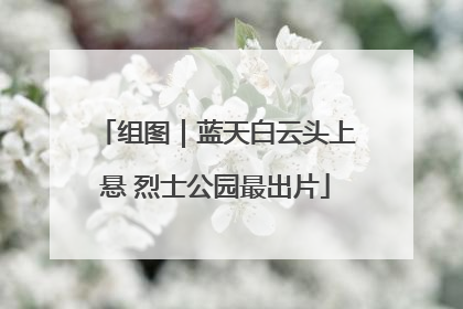 组图｜蓝天白云头上悬 烈士公园最出片