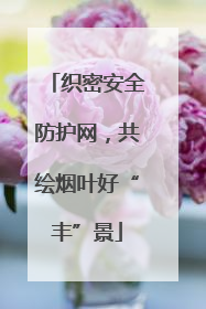 织密安全防护网，共绘烟叶好“丰”景
