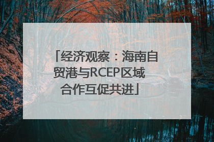 经济观察：海南自贸港与RCEP区域合作互促共进