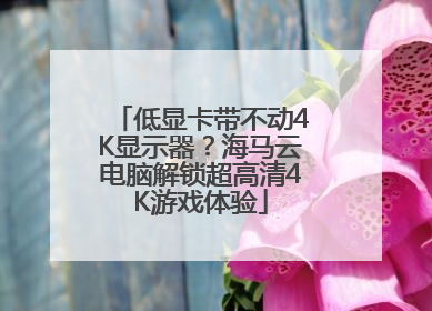 低显卡带不动4K显示器？海马云电脑解锁超高清4K游戏体验