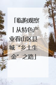 临朐观察丨从特色产业看山区县城“乡土生金”之路