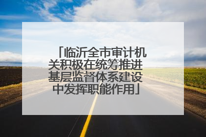 临沂全市审计机关积极在统筹推进基层监督体系建设中发挥职能作用