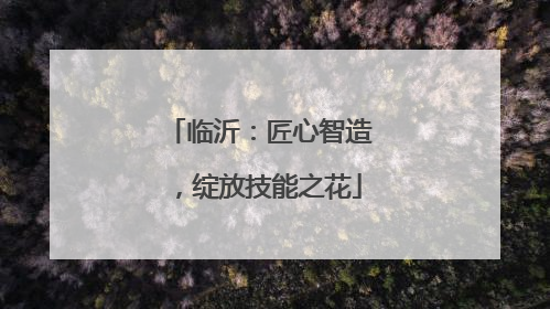 临沂：匠心智造，绽放技能之花