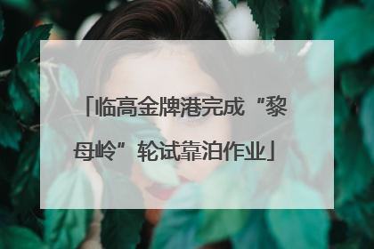 临高金牌港完成“黎母岭”轮试靠泊作业