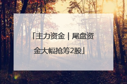 主力资金｜尾盘资金大幅抢筹2股