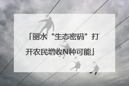 丽水“生态密码”打开农民增收N种可能