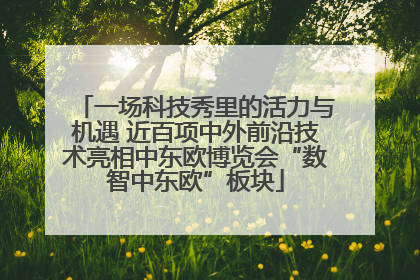 一场科技秀里的活力与机遇 近百项中外前沿技术亮相中东欧博览会“数智中东欧”板块