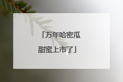 万年哈密瓜甜蜜上市了