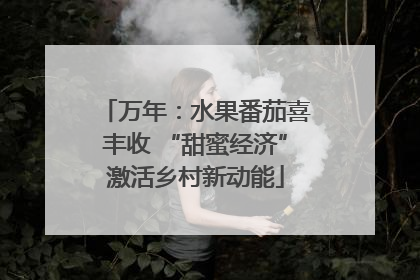 万年：水果番茄喜丰收 “甜蜜经济”激活乡村新动能