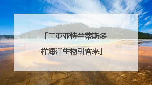 三亚亚特兰蒂斯多样海洋生物引客来