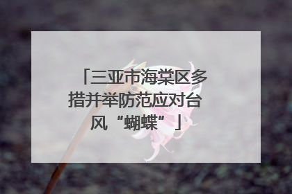 三亚市海棠区多措并举防范应对台风“蝴蝶”