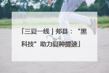 三夏一线｜郏县：“黑科技”助力夏种提速