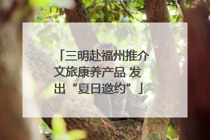 三明赴福州推介文旅康养产品 发出“夏日邀约”