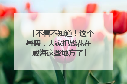 不看不知道！这个暑假，大家把钱花在威海这些地方了