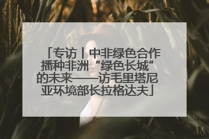 专访丨中非绿色合作播种非洲“绿色长城”的未来——访毛里塔尼亚环境部长拉格达夫