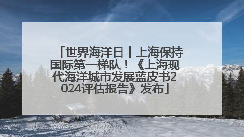 世界海洋日丨上海保持国际第一梯队！《上海现代海洋城市发展蓝皮书2024评估报告》发布