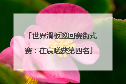 世界滑板巡回赛街式赛：崔宸曦获第四名