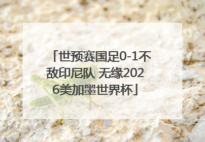 世预赛国足0-1不敌印尼队 无缘2026美加墨世界杯