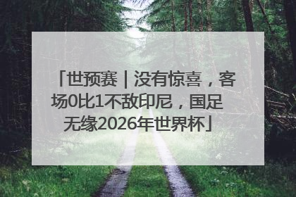 世预赛｜没有惊喜，客场0比1不敌印尼，国足无缘2026年世界杯