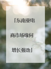 东南亚电商市场缘何增长强劲