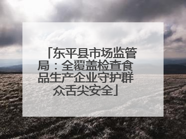 东平县市场监管局：全覆盖检查食品生产企业守护群众舌尖安全