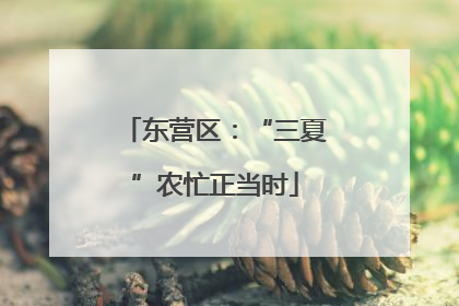 东营区：“三夏”农忙正当时