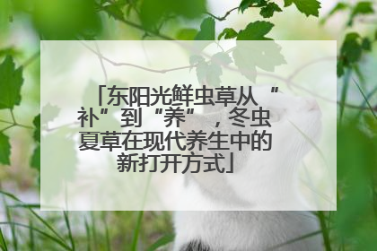 东阳光鲜虫草从“补”到“养”，冬虫夏草在现代养生中的新打开方式
