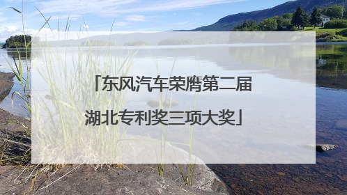 东风汽车荣膺第二届湖北专利奖三项大奖