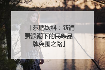 东鹏饮料：新消费浪潮下的民族品牌突围之路