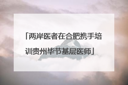 两岸医者在合肥携手培训贵州毕节基层医师