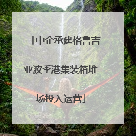 中企承建格鲁吉亚波季港集装箱堆场投入运营