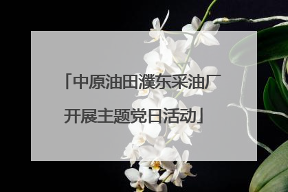 中原油田濮东采油厂开展主题党日活动