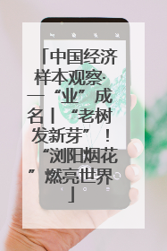中国经济样本观察·一“业”成名丨“老树发新芽”！“浏阳烟花”燃亮世界