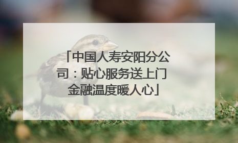中国人寿安阳分公司：贴心服务送上门 金融温度暖人心
