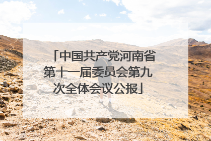 中国共产党河南省第十一届委员会第九次全体会议公报